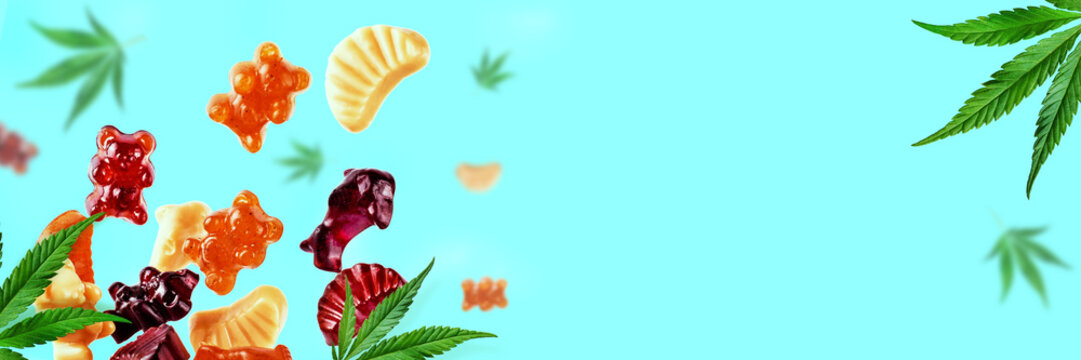 THC Edibles Europe